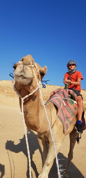 gal/2018/15 Egypt 2018/20180807_163439.jpg